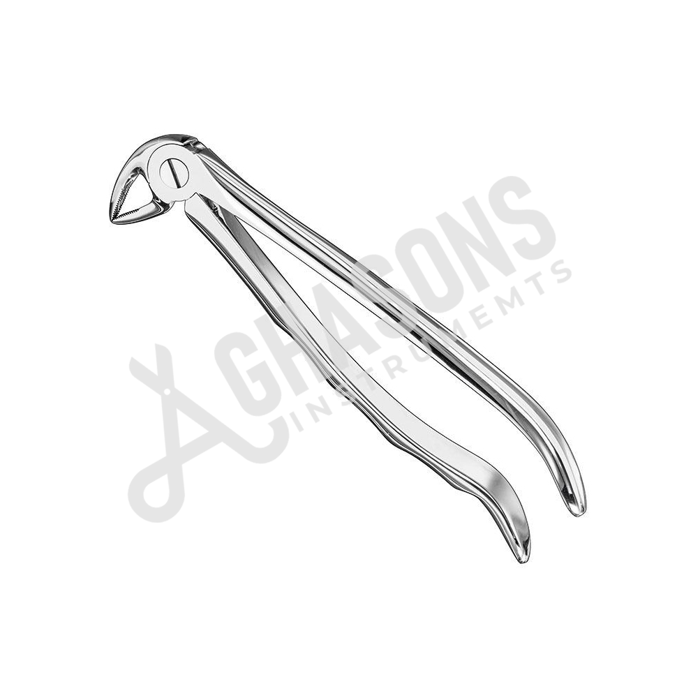 EXTRACTING FORCEPS STANDARD