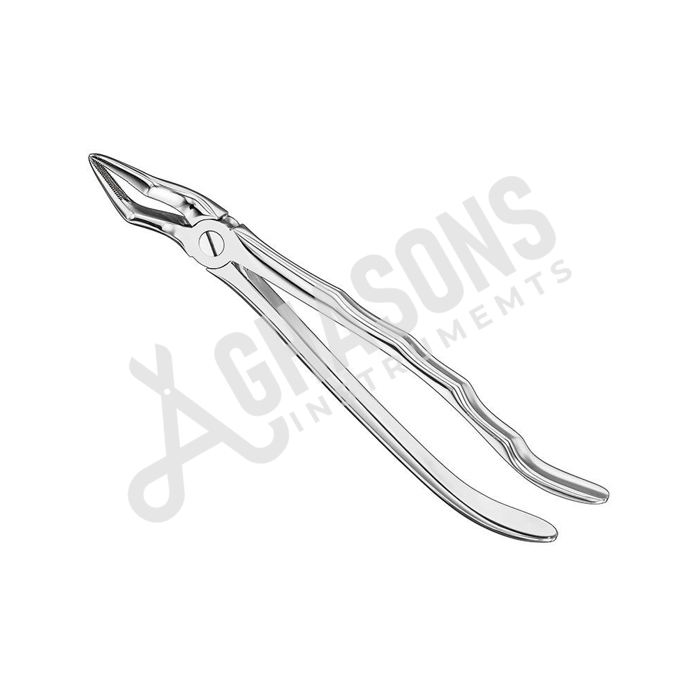 EXTRACTING FORCEPS, ENGLISH PATTERN STANDARD