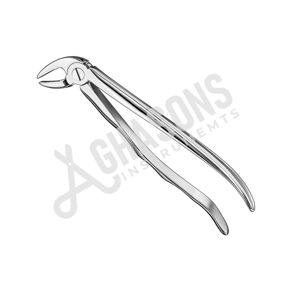 EXTRACTING FORCEPS, ENGLISH PATTERN STANDARD
